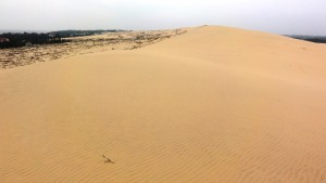 Nhat Le beach sand dunes 